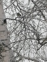 Изображение Изображение