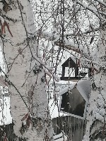 Изображение Изображение