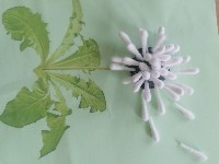 Изображение Изображение